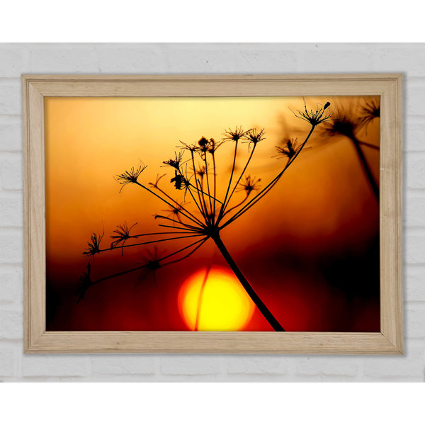 Ebern Designs Sonnenuntergang Im Schilf Druck Wayfair De